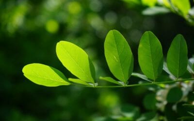Ateismo: la vera motivazione!